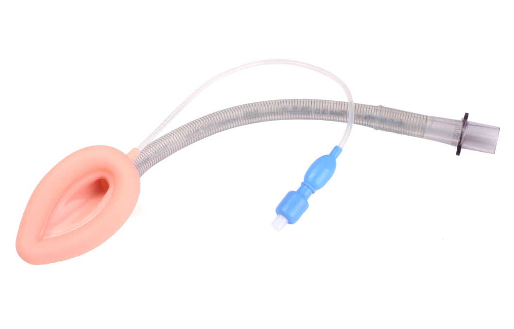 Various Sizes PVC Laryngeal Mask Medical Consumables