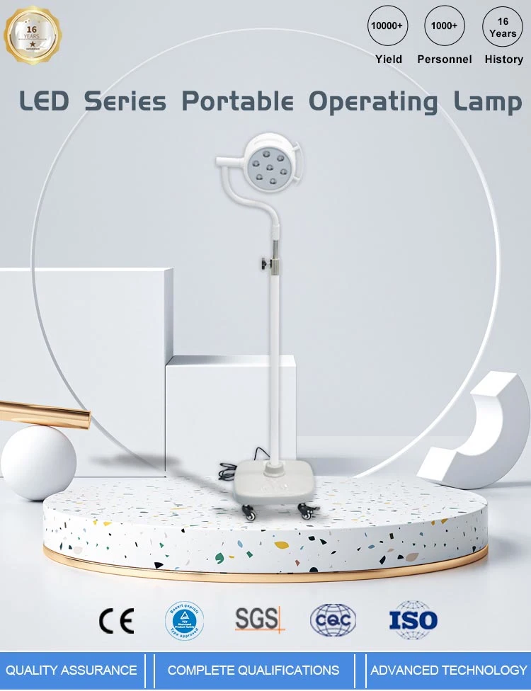 Hot Saleportable Moveable High Illumination Surgical Auxiliary Lighting Examination Operating Lamp for